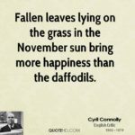 cyril-connolly-quote-fallen-leaves-lying-on-the-grass-in-the-november